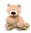 Gund Philbin 18" Bear, Beige
