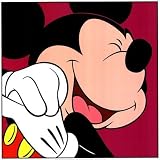 (19x19) Walt Disney Mickey Mouse Art Print Poster