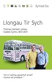 Llongau tir sych : Caelloi Cymru 1851-2011