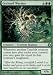 Orchard Warden Foil