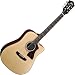 Guild® GAD-40CE Dreadnought Acoustic-Electric Guitar w/hardshell case