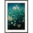 Jellyfish (Scyphozoa), Palau Collections Framed Photographic Poster Print by Michael Aw, 24x34