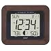 SkyScan (88901) Atomic Clock with Outdoor Temperature/Phases of the Moon