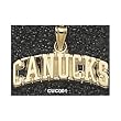 Vancouver "Canucks" Charm/Pendant