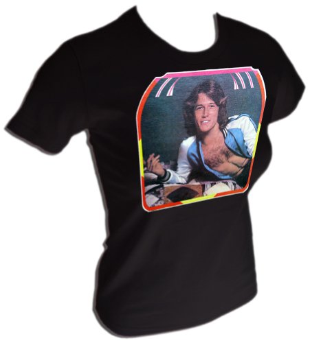 Vintage Andy Gibb Bee Gees 1976 RARE Rock 'n Roll concert T-Shirt