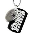 Stainless Steel New England Patriots Logo Double Dog Tag Necklace