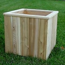 16" White Cedar Planter