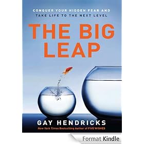 The Big Leap: Conquer Your Hidden Fear and Take Life to the Next Level