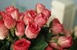 Artifical Flora Red Tulip - Bouquet 6pcs