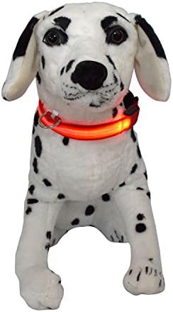 stardrift LED Night Visible Flashing Dog Pet Collar Nylon Glowing Luminous Safety Collar with Metal Hook for Night Walking Rechargeable (XL, red)