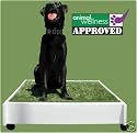 ORIGINAL PETaPOTTY INDOOR DOG POTTY LAWN TOILET SYSTEM UNIT ONLY