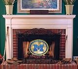 Michigan Wolverines Fireplace Screen