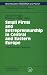 Small Firms and Entrepreneurship in Central and Eastern Europe: A Socio-Economic Perspective (Technology, Innovation and Policy (ISI))
