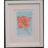 Poppies
