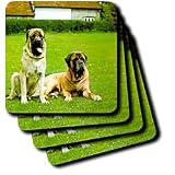Dogs Mastiff - Mastiff - Coasters