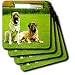 Dogs Mastiff - Mastiff - Coasters