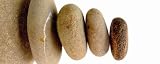 Stretch Print 20 x 50 A77TC5 Pebbles
