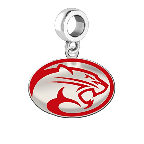 Houston Cougars Silver Logo and School Color 1/2
