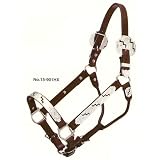 Silver Royal Engraved Silver Show Halter With Black Inlay