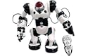 Robosapien 