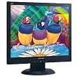 ViewSonic VA903mb 19" LCD Monitor