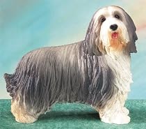 BEARDED COLLIE, SS-5148
