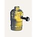 Leviton 10083-16 Medium Base Complete, Aluminum Shell Incandescent Lampholder, Removeable Turn Knob, Single Circuit, 1/8 IPS Tapped Bushing with Set Screw, Brass