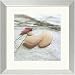 Sea Glass - Pink Framed Print by Celia Pearson Framed
