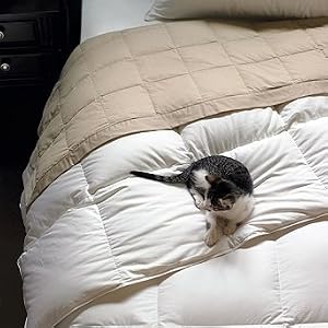 Resort Down Comforter - Queen - Frontgate