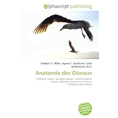 Anatomie Des Oiseaux