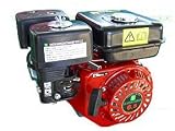 NEW 6.5 HP Gas Engine for Commercial & Recreational Applications