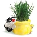 Chia Cat Grass Planter