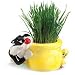 Chia Cat Grass Planter