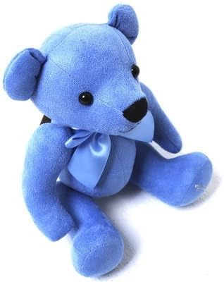 Little rainbow Teadybear Blue
