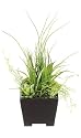 Homestyles Kunstpflanze Sukkulenten Gras Arrangement