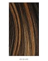 Freetress Equal Synthetic Lace Front Wig - Show Girl-F2/33/130