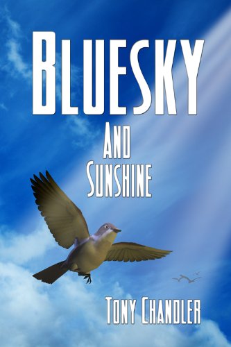 Bluesky And Sunshine