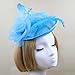 Vimans Women's Handmade Flowers Feather Headwear Hat Fascinator with Headband
