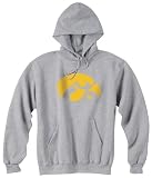Champion NCAA Unisex Adult Iowa Hawkeyes Powerblend Hood