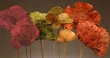 Assorted Sponge Mushrooms 18 Tall Including Stems, Box of 12 Packages (6 mushrooms in a package) 3 packages of four colors