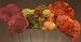Assorted Sponge Mushrooms 18 Tall Including Stems, Box of 12 Packages (6 mushrooms in a package) 3 packages of four colors