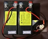 Razor E200/300 Electric Scooter battery - W13112430003WA
