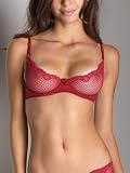 Timpa Duet Lace Underwire Demi Bra Wine