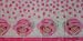 Strawberry Shortcake Plastic Tablecover