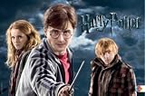 Harry Potter und die Heiligt&uuml;mer des Todes Broschur XL 2011 - 