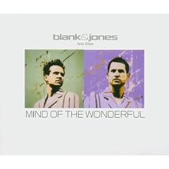 Mind of the Wonderful