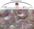 1000 Silk Rose Petals Wedding Favors - Solid Colors - Iridescent