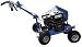 Bluebird Bed Bug Landscape Edger 160CC #BB550A