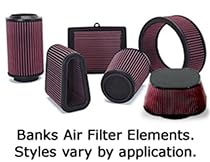 Banks Power Replacement Ram-Air Intake Filter - Ford