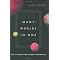 Explore Colliders, Black Holes and Theories of Everything